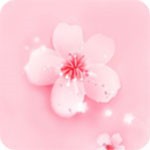 免费安全在线观看大片哔哩哔哩无限看版