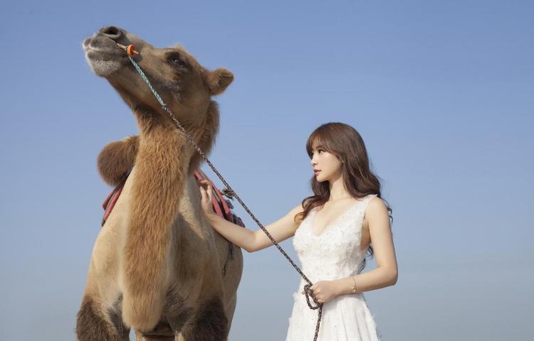 苹果91轻量版官网iOS未来智能化方向