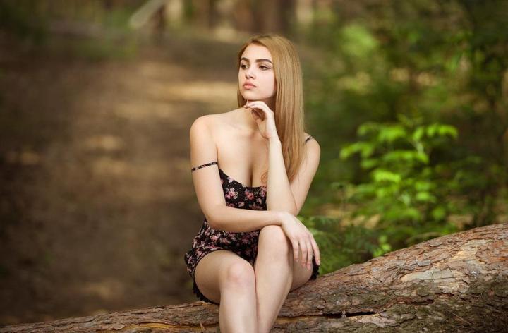 现实与虚构的界限