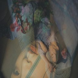 揭秘免费B站在线观看人数的计算方式：算法背后的秘密