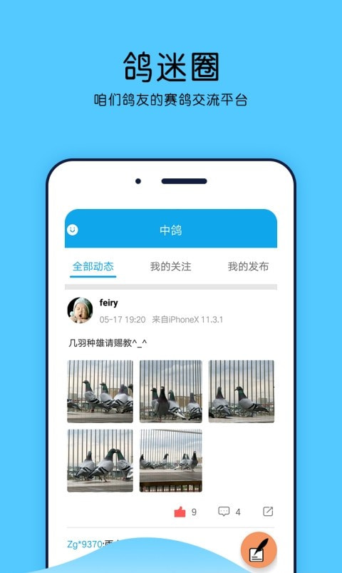 中鸽网直播网赛事3