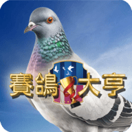 赛鸽大亨（賽鴿）_logo