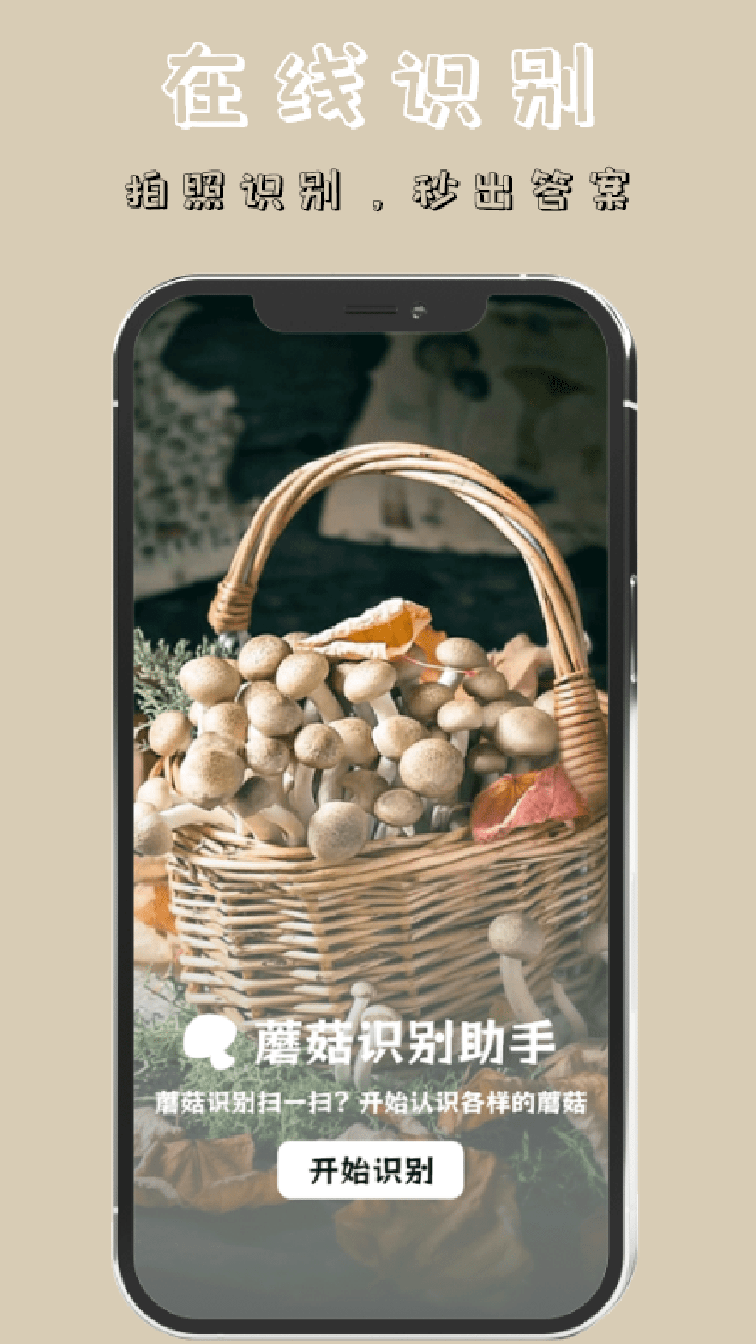 蘑菇识别高手3