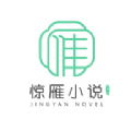 惊雁文娱小说_logo