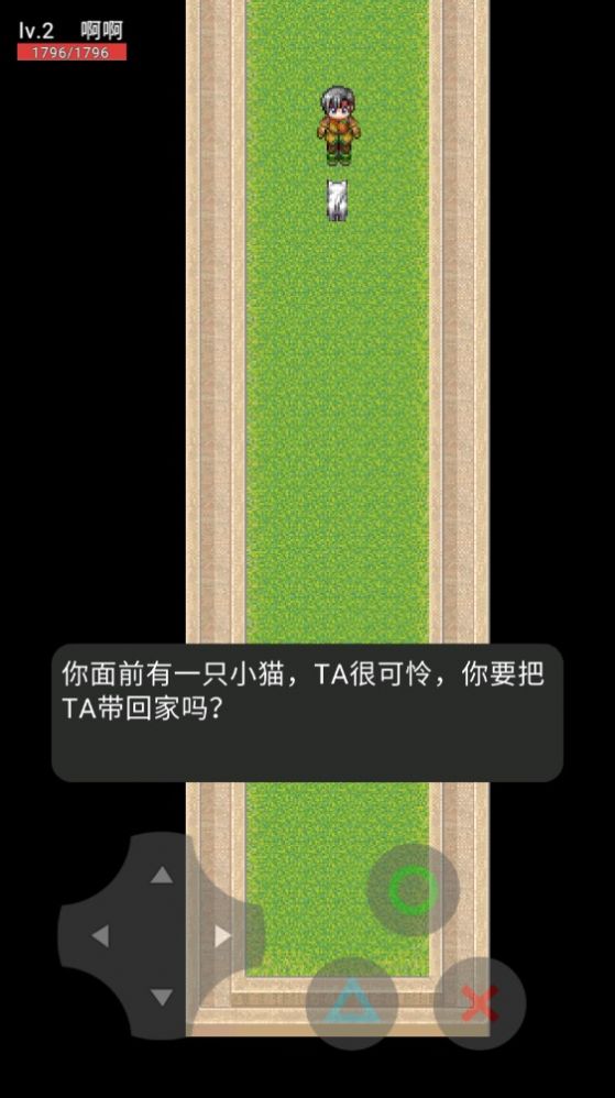 小猫惊魂1